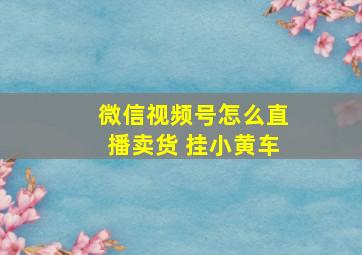 微信视频号怎么直播卖货 挂小黄车